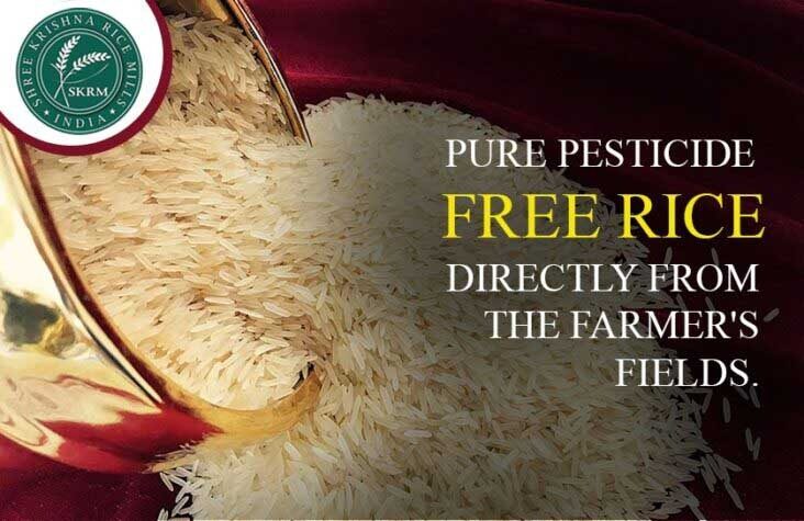 Pesticide Free Rice