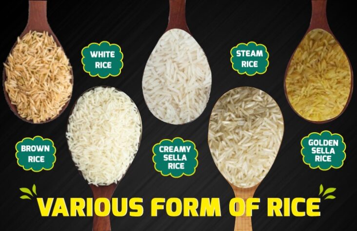 Various Forms of Rice