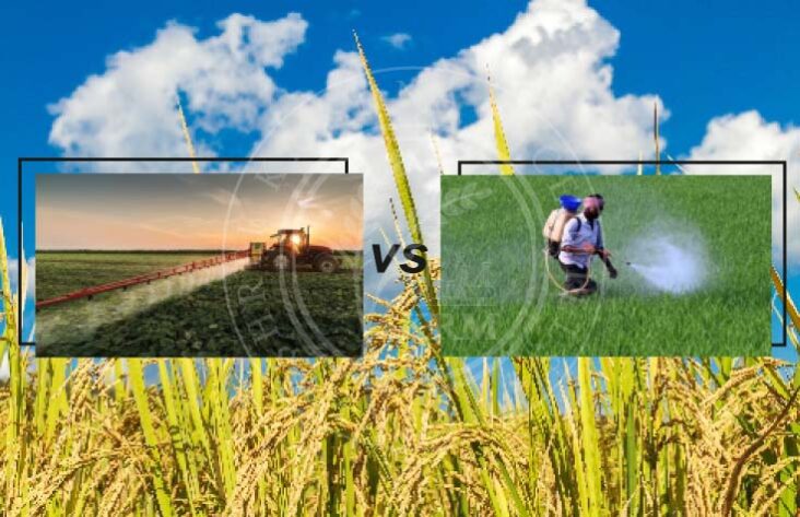 CONVENTIONAL VS PESTICIDE RESIDUE FREE RICE