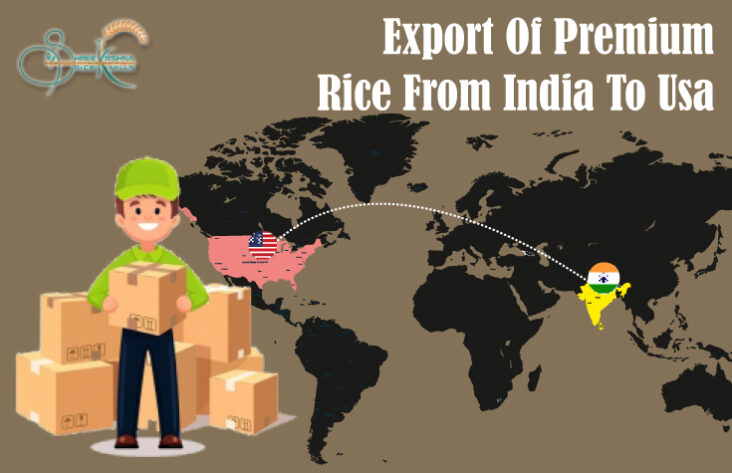 Rice from India To USA