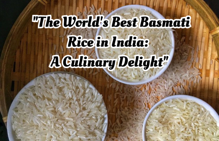 The World's Best Basmati Rice in India