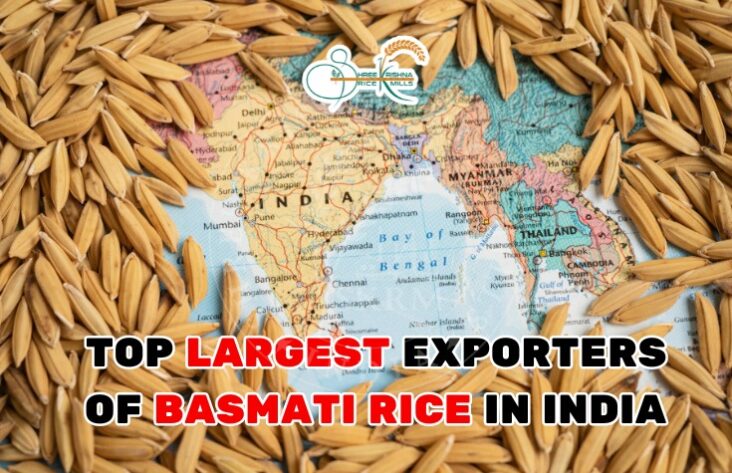 Top Largest Exporter of Basmati Rice in India