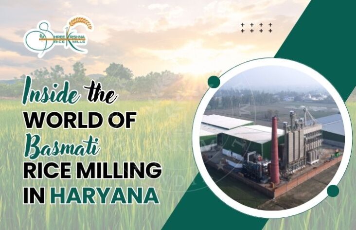 Inside the World of Basmati Rice Milling in Haryana