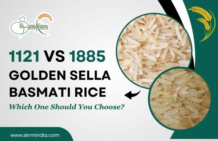 1121 vs 1885 Golden Sella Basmati Rice