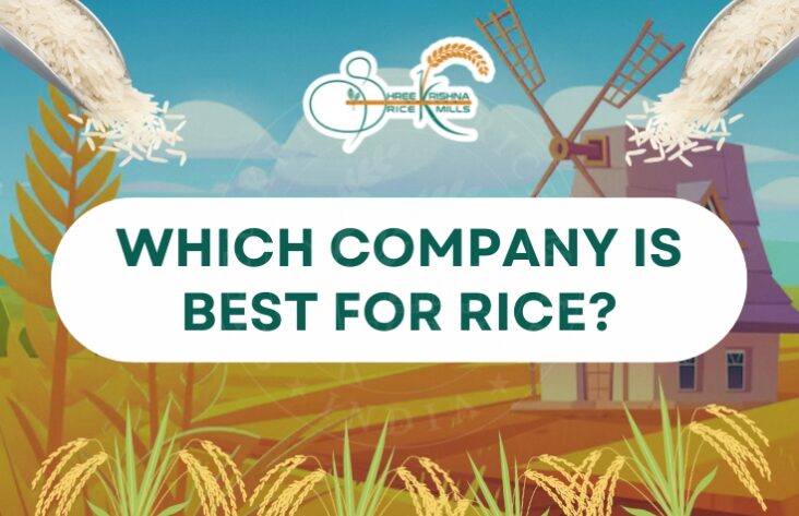 Best rice company in India